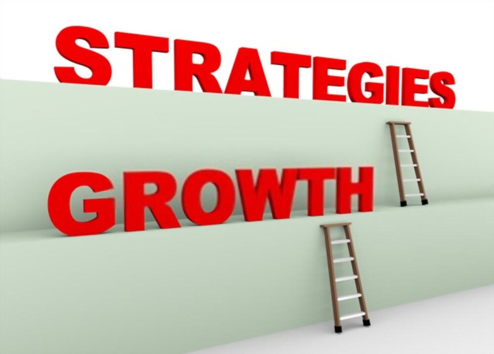 Apa itu Growth Strategy