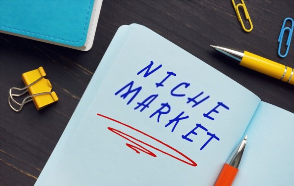 niche-market-definition-benefits-of-a-niche-market-tanya-digital